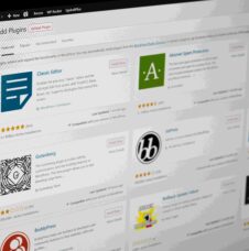 corso wordpress