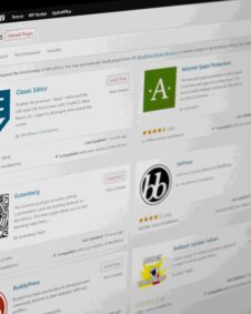 corso wordpress